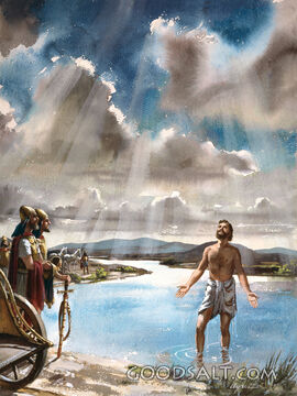 Namann in the Healing Waters