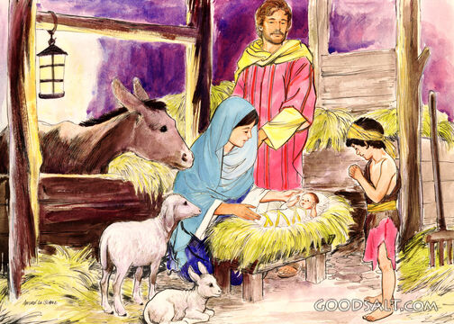 Nativity Scene 
