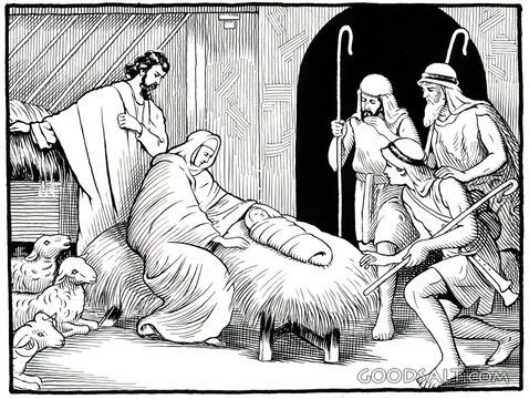 Nativity Scene
