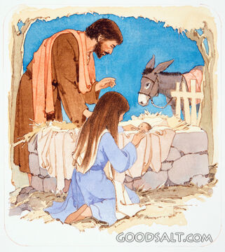 Nativity Scene