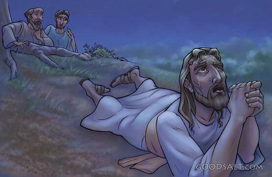 Night Prayer
