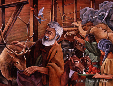 Noah Carries Out His Responsibilities