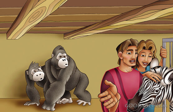 Noah&#039;s Task