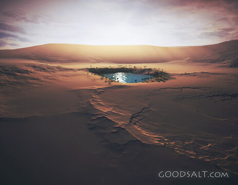 Oasis in the Desert