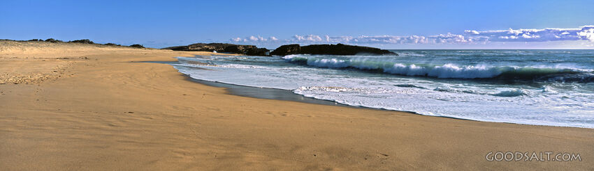 Ocean Waves at the Beach