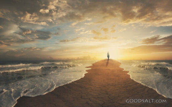 Oceans Divided