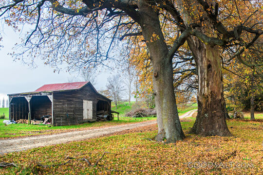 Old barn and machinery shed with autumn leaves.