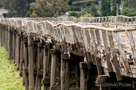 Old disused major wooden bridge.