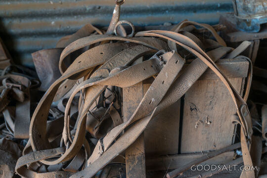 Old horse saddles found in blacksmith shed.