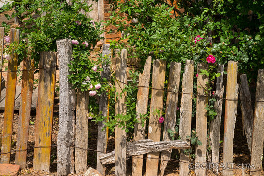 Old picket fence with lichen