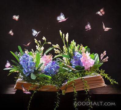 Open Book and Garden