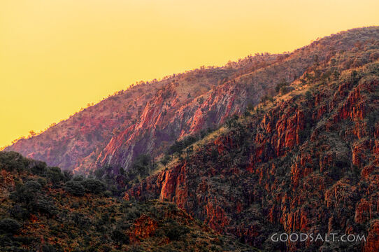 Outback arid scenery in late afternoon warm light.