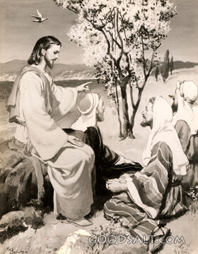 Parable of the Mustard Plant