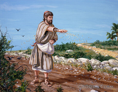 Parable of the Soils