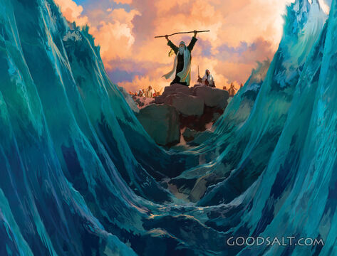 Parting The Red Sea