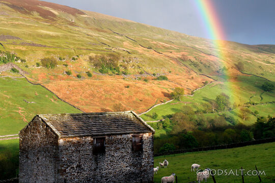 Pastoral Rainbow