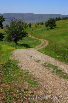 Path