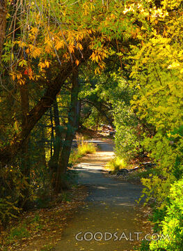 Path of Righteousness, Autumn Trail Grotto