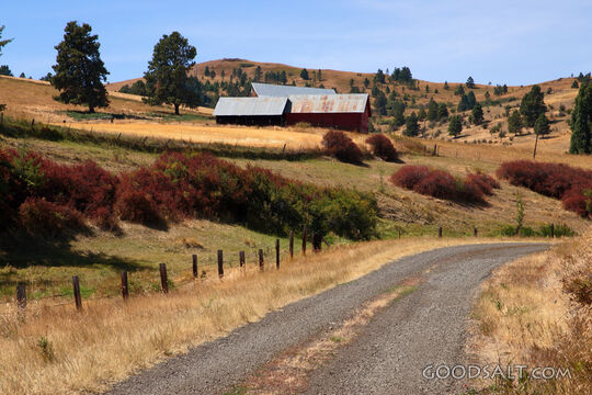 Path to Old Barn