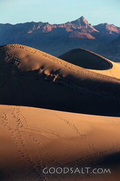 Paths in the Sand