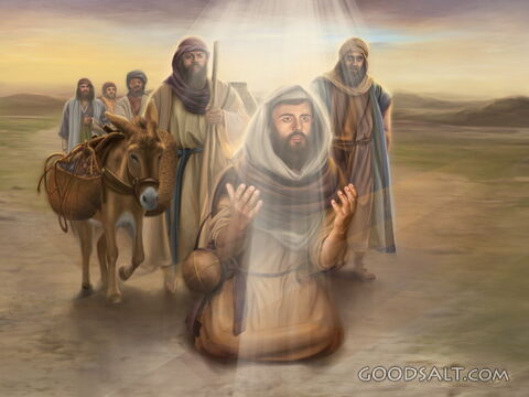 Paul&#039;s conversion
