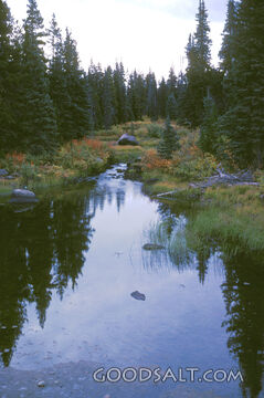 Peaceful
