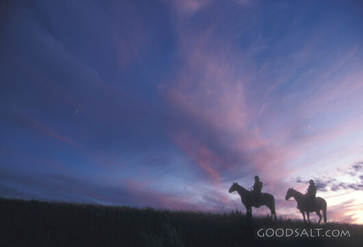 Two people on horses in the evening.