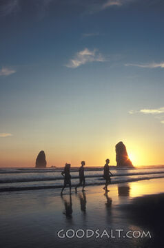 A group of children walking on the beach in the evening.