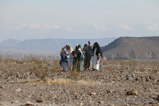 Israelites Journey Through the Wilderness