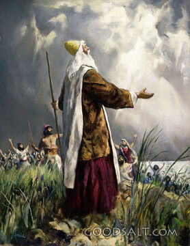 People of Israel Rejoicing