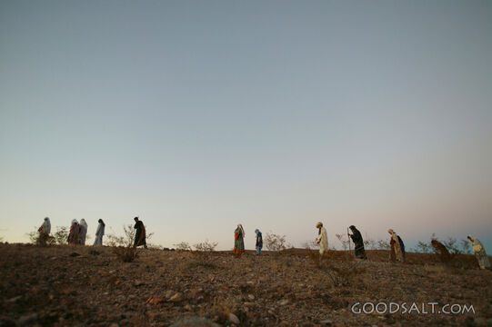 Pilgrims Across the Wilderness