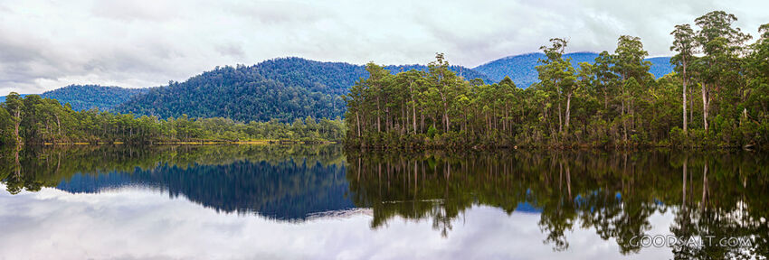 Perfect mirror reflection of forest covered banks of lake.