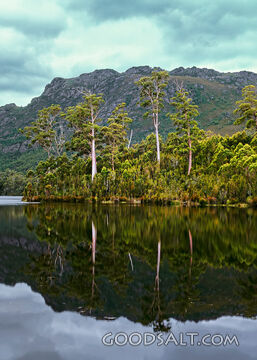Perfect mirror reflection of forest covered banks of lake.
