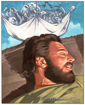 Peter&#039;s Vision