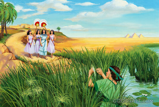 Pharoah&#039;s Daughter Comes to the River