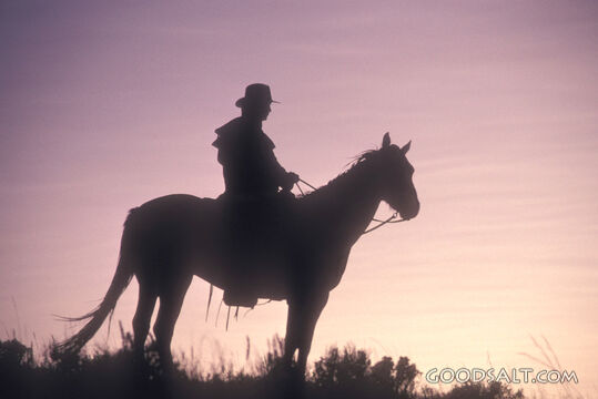 The silhouette of a person on a horse in the sunrise.