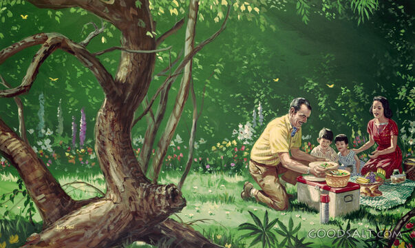 Picnic