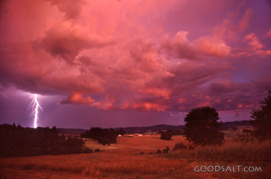 Pink Lightning