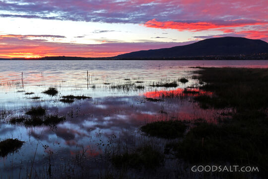 Pink Sunrise With Lake Reflections