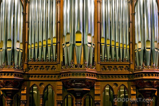 Pipe Organ Pipes