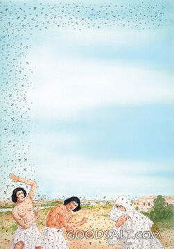 Plague of Flies