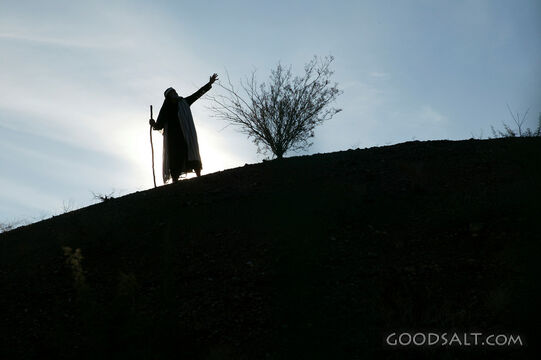 Moses in the Wilderness