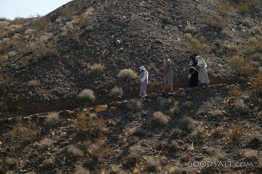 Israelites Walking the Wilderness Path