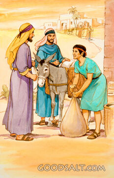 Preparing for the Journey