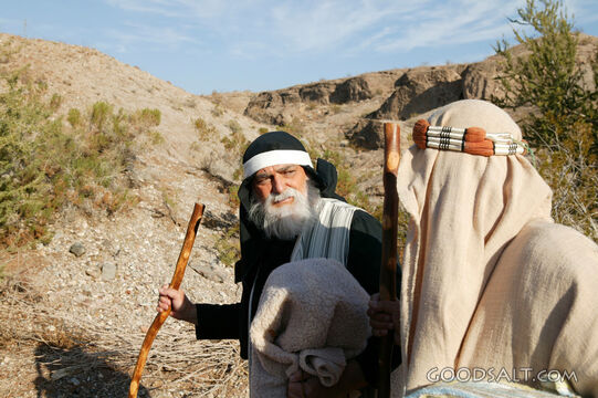 Prophet on Journey