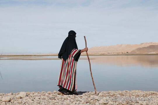 Prophet Walking