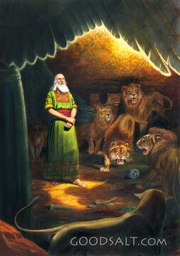 Protection From Lions