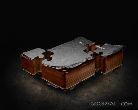 Puzzle Piece Bible