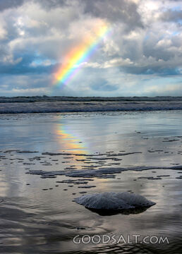 Rainbow Reflection