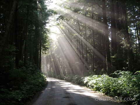 Rays of Light